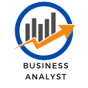 Business Analyst